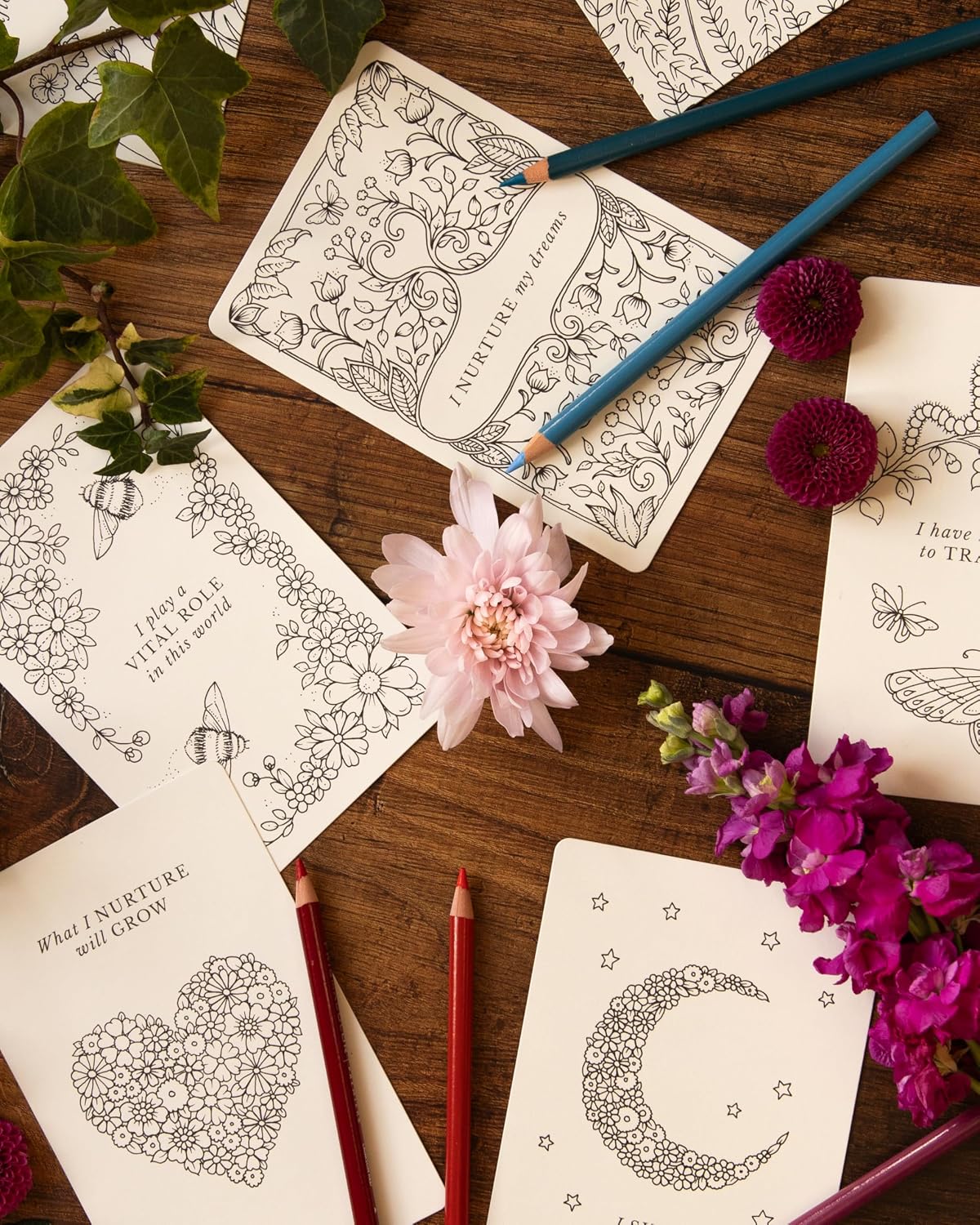Johanna Basford's Notes from Nature: 30 Affirmation Cards to Colour