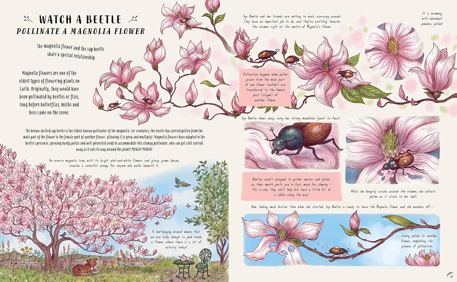 Slow Down and Be Here Now: More Nature Stories to Make You Stop, Look and Be Amazed by the Tiniest Things