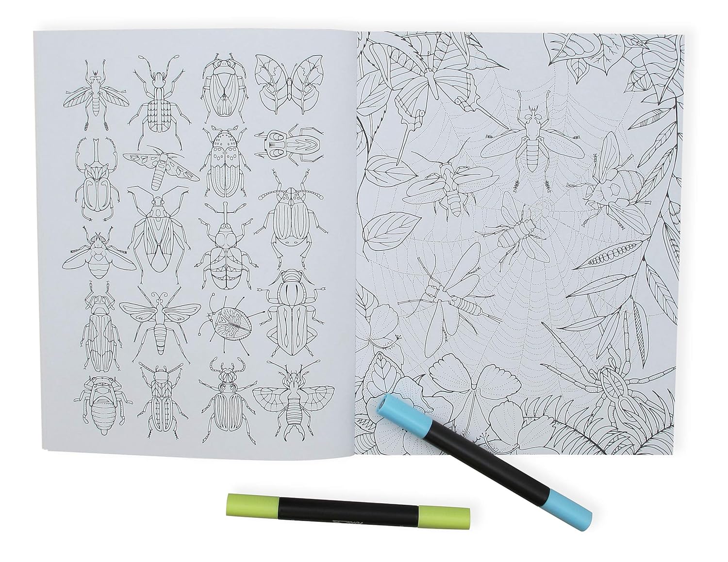 Wonderful Insects Colouring Book