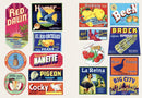 Bon Appetit!: A Little Sticker Book