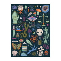 Occult and Curious 1000 Piece Glow in the Dark Puzzle