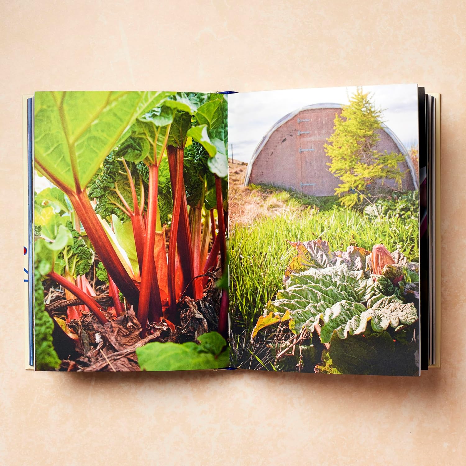 Scandinavia: Authentic recipes and ingredients