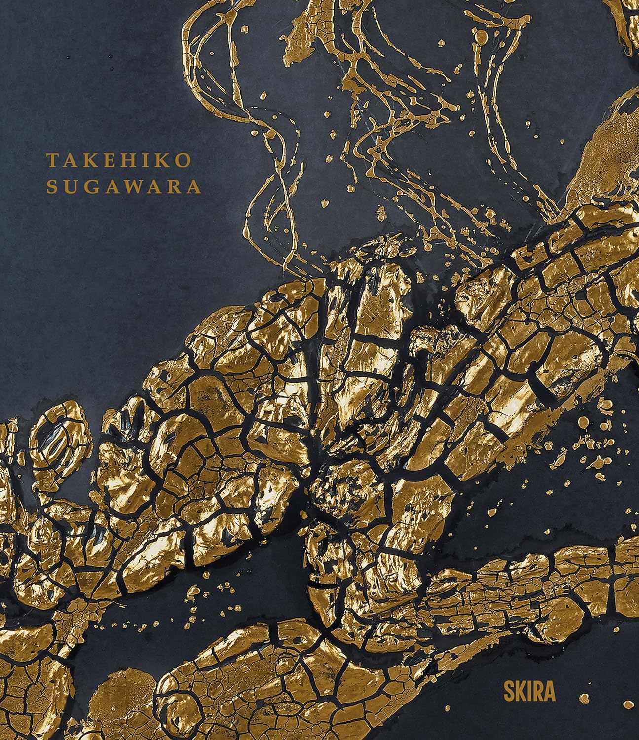 Takehiko Sugawara: Eclectic Japanese Art