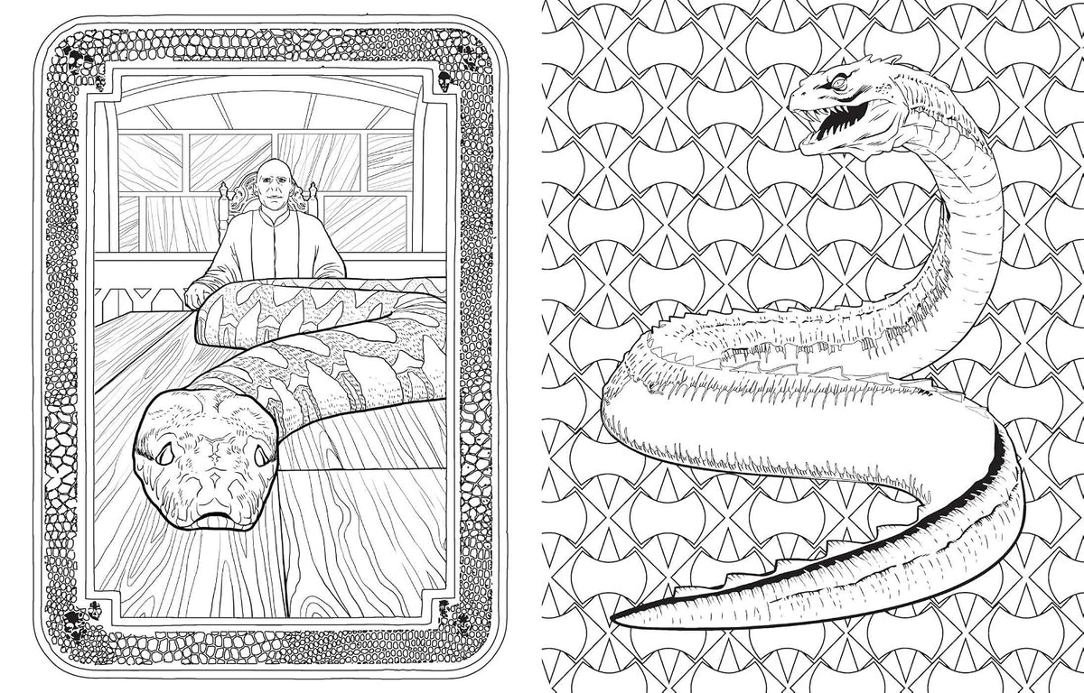 Harry Potter: Magical Creatures Coloring Book