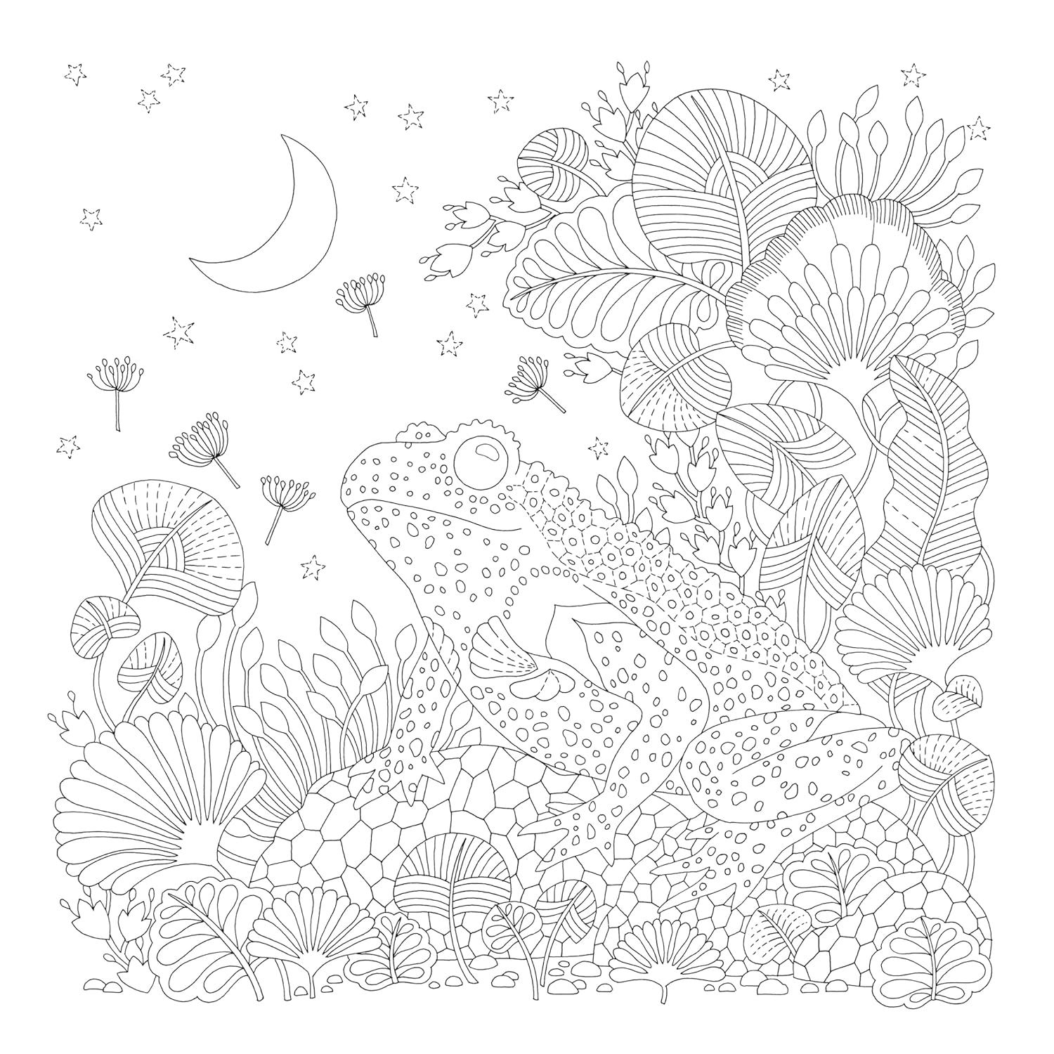 Millie Marotta’s Precious Planet