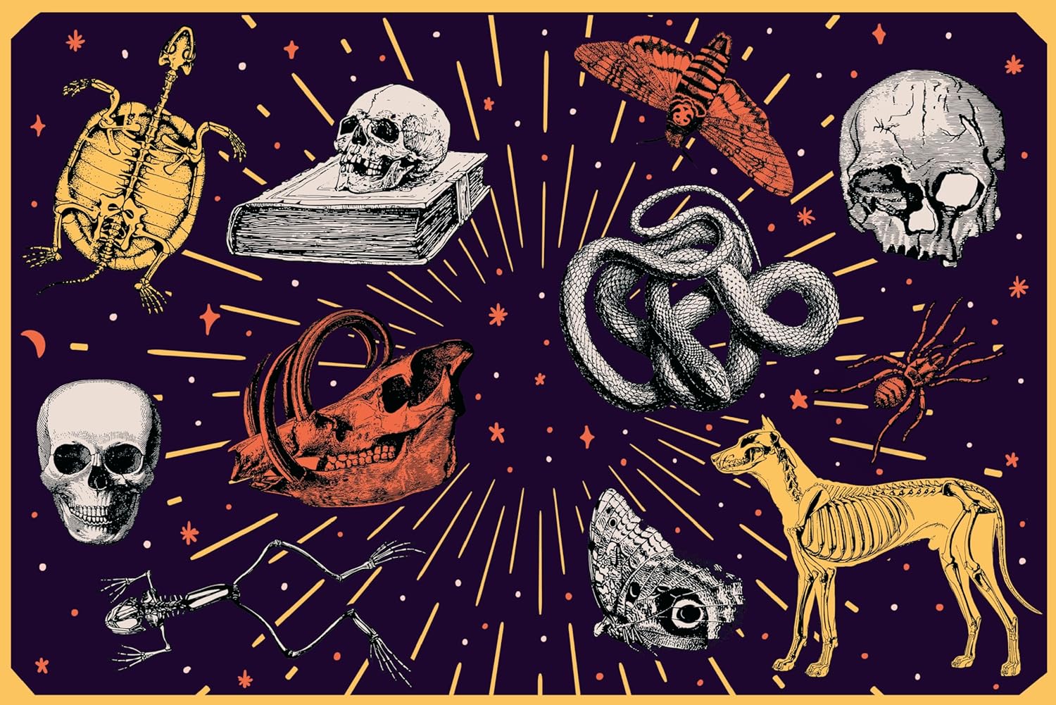 Stickertopium: Gorgeous Gothic: Over 400 Stunning Stickers