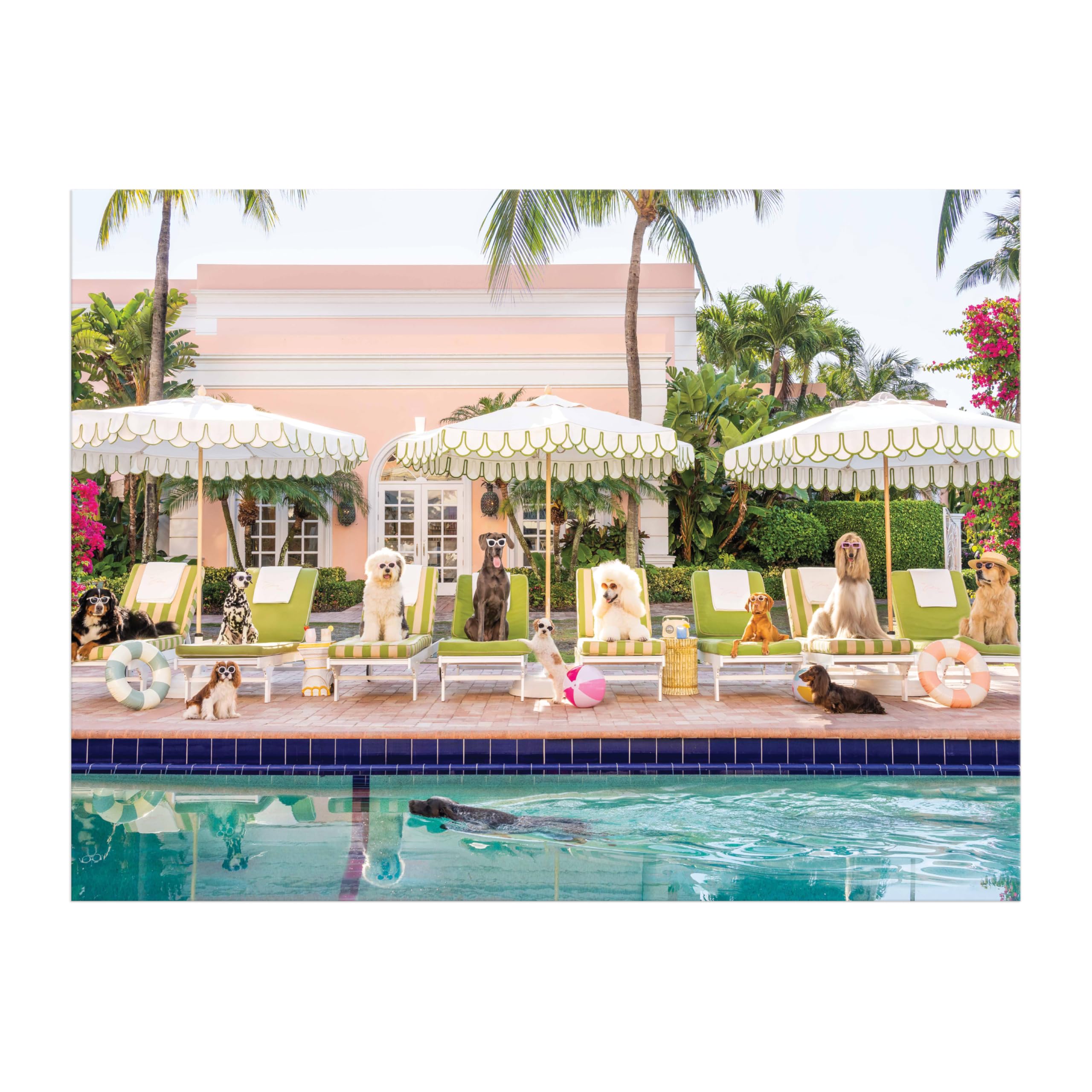 Gray Malin Palm Beach 1000 Piece Book Box Puzzle