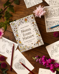 Johanna Basford's Notes from Nature: 30 Affirmation Cards to Colour