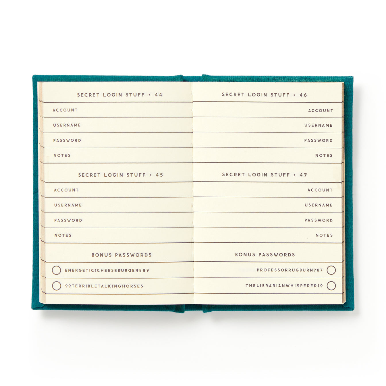 Definitely Not My Passwords Tiny Diary
