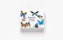 Butterfly Wings