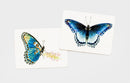 Butterfly Wings
