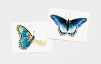 Butterfly Wings