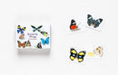 Butterfly Wings