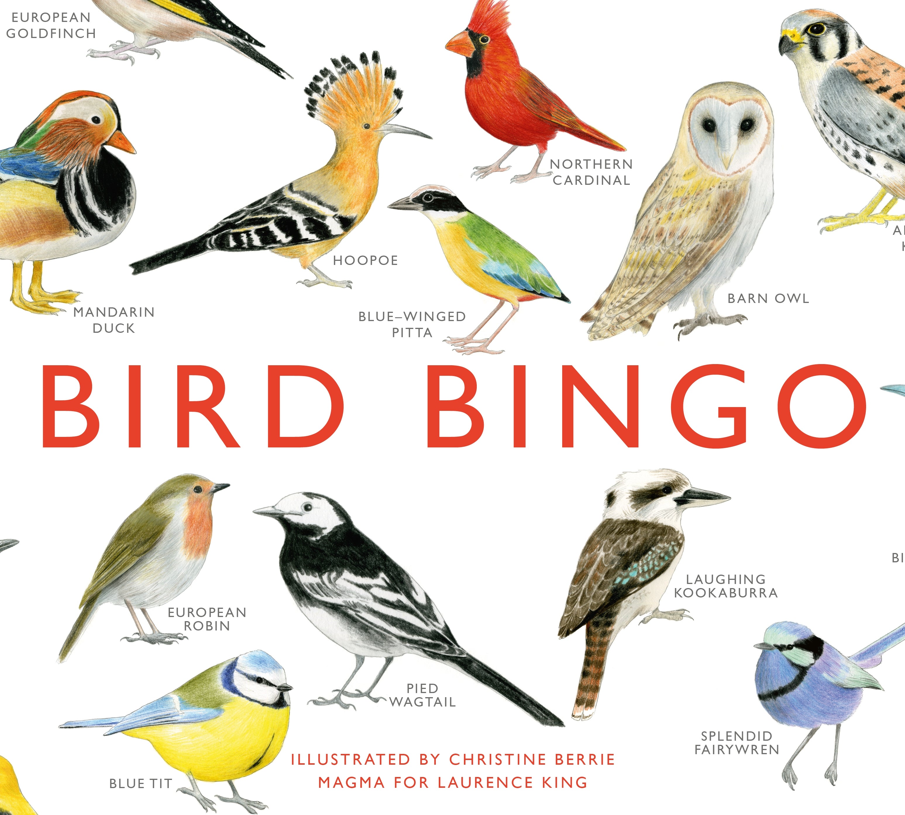 Bird Bingo