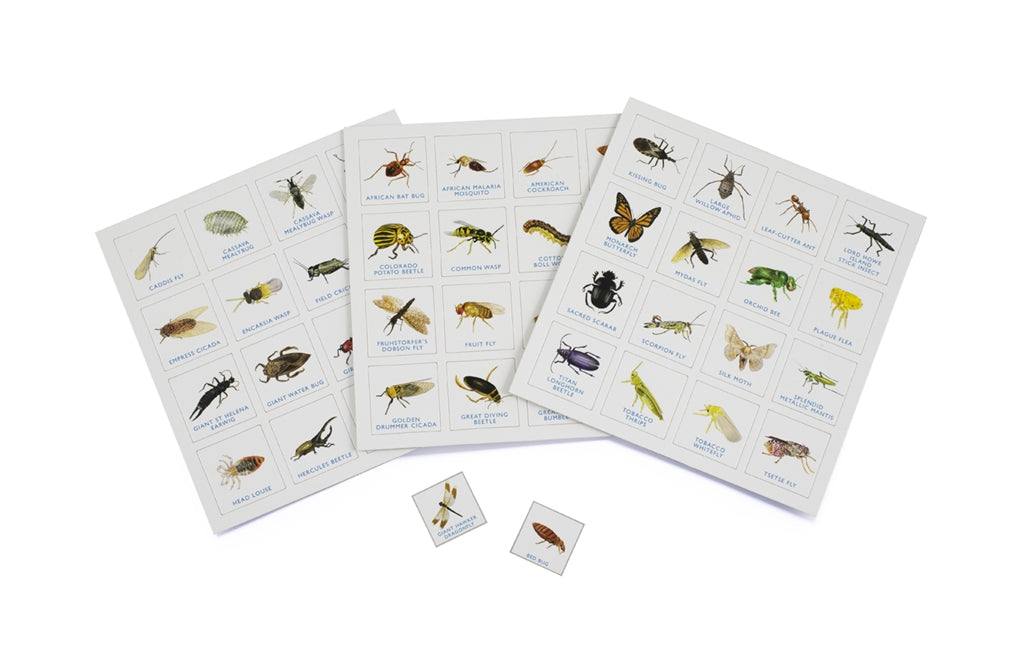 Bug Bingo