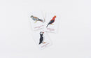 Match a Pair of Birds