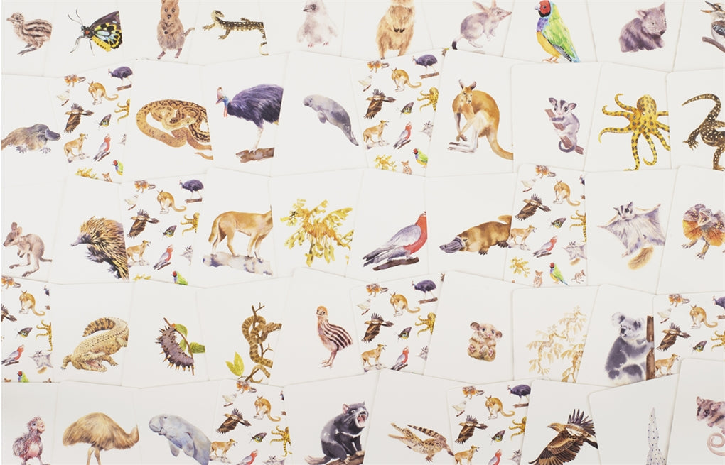 Aussie Animal Match