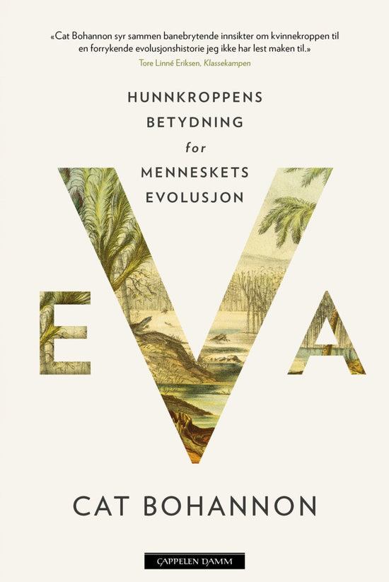 Eva - hunnkroppens betydning for menneskets evolusjon