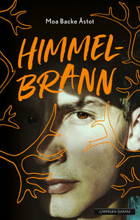 Himmelbrann