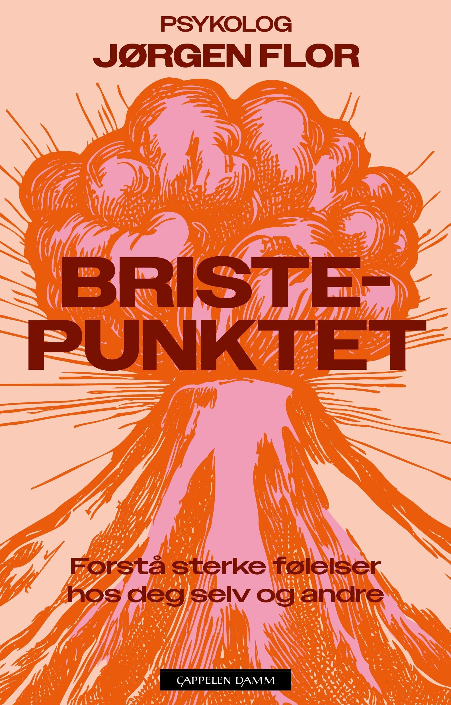 Bristepunktet - Forstå sterke følelser hos deg selv og andre