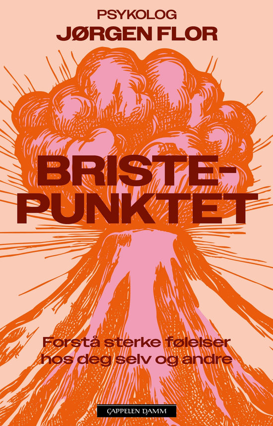 Bristepunktet - Forstå sterke følelser hos deg selv og andre