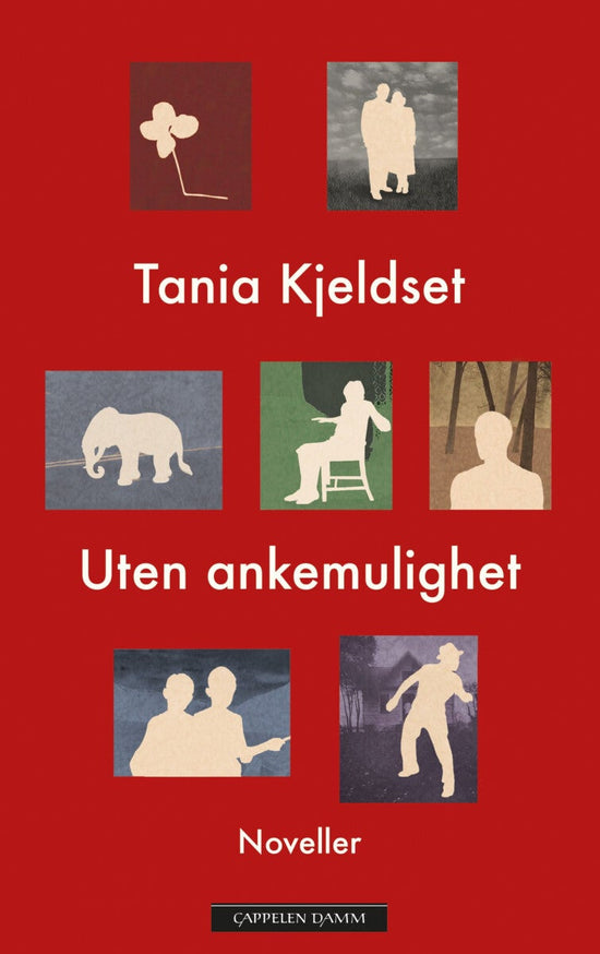 Uten ankemulighet