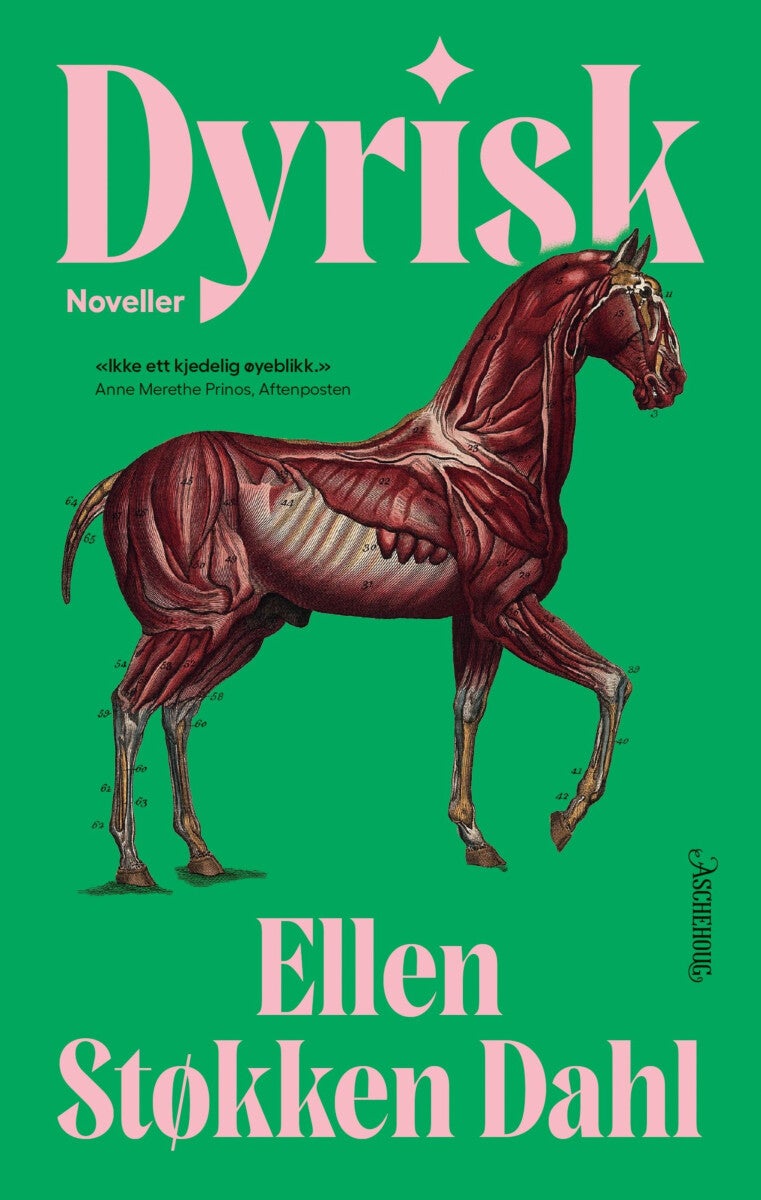 Dyrisk