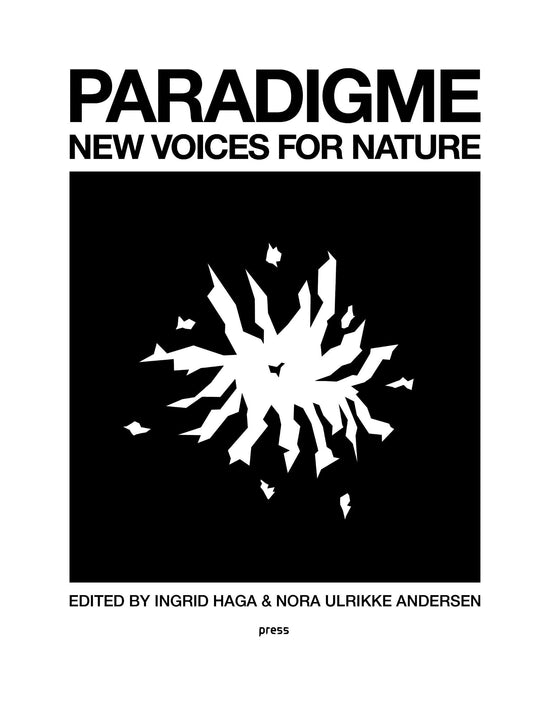 Paradigme