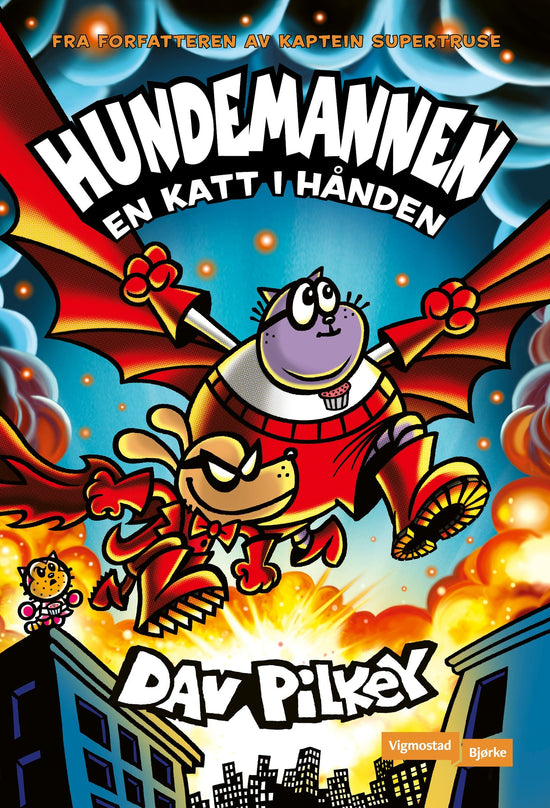 En katt i hånden