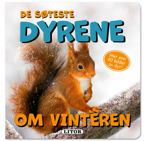Våre søteste dyr om vinteren