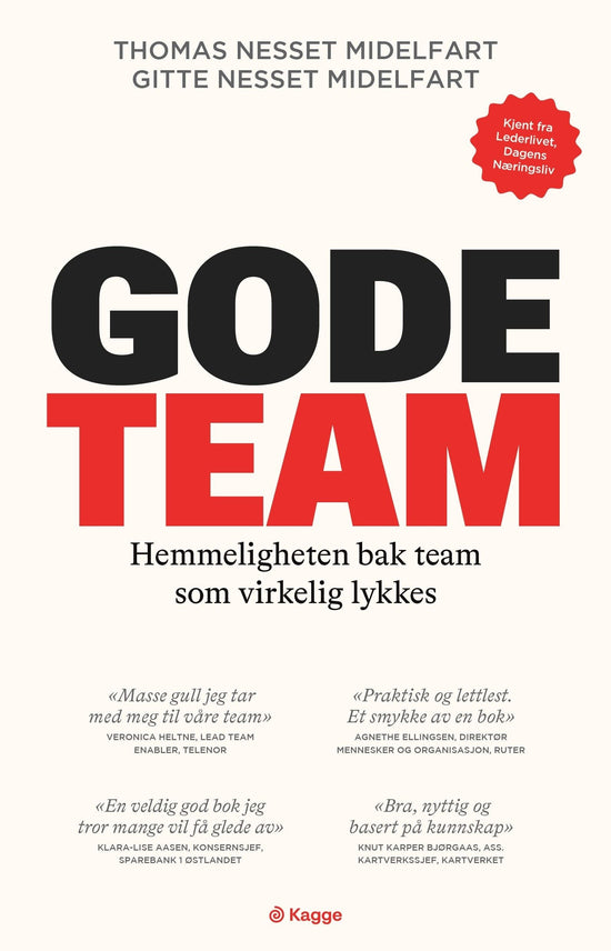 Gode team - hemmeligheten bak team som virkelig lykkes