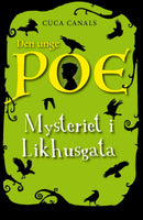 Mysteriet i Likhusgata