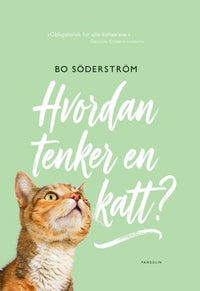 Slik tenker en katt