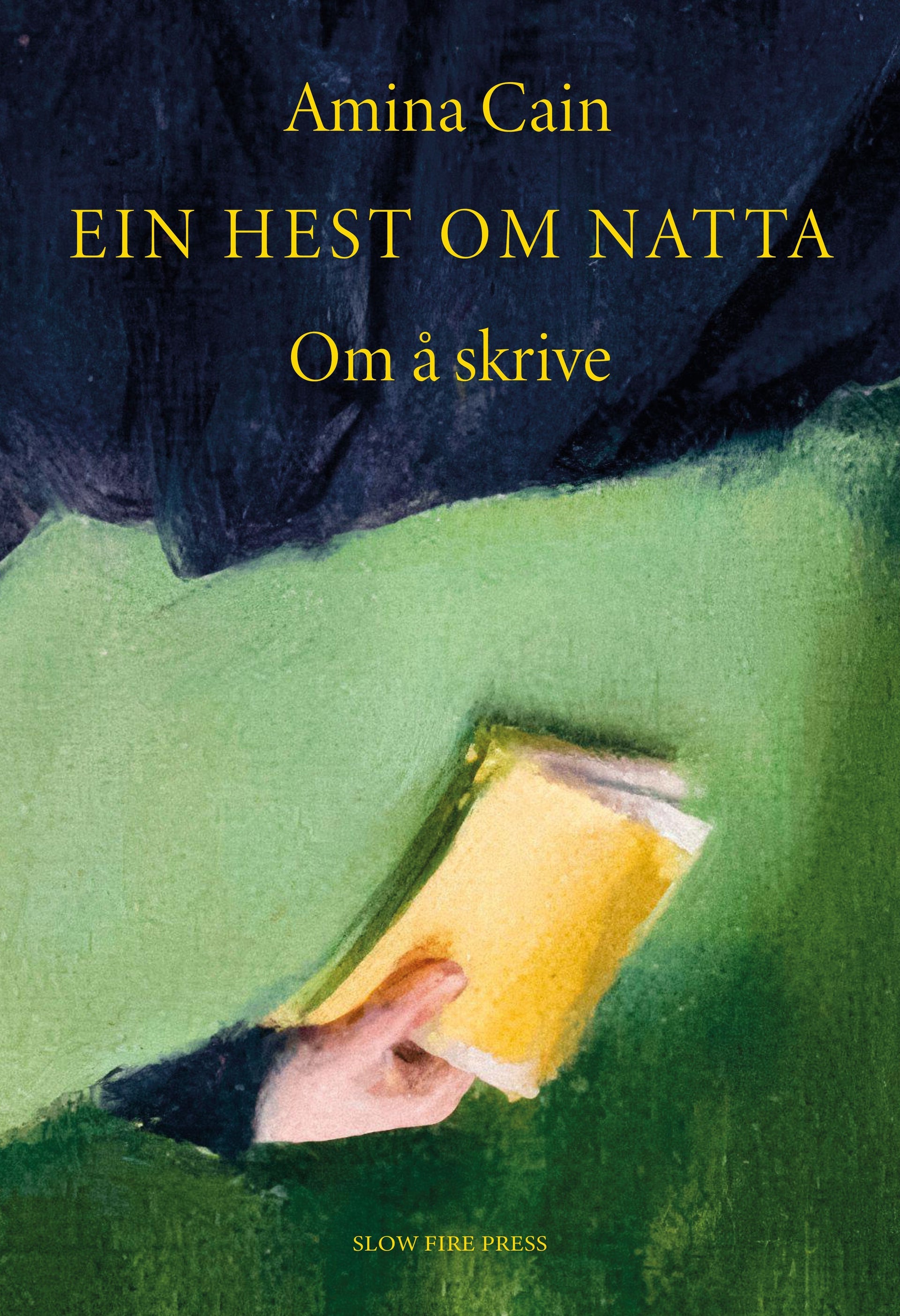 Ein hest om natta