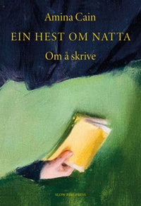 Ein hest om natta