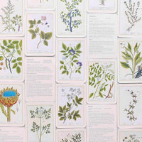 Healing Plants: 50 botanical cards illustrated by the pioneering herbalist Elizabeth Blackwell