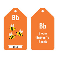 ABC of the Earth Ring Flash Cards