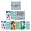 Animal Anatomy Science Puzzle Set
