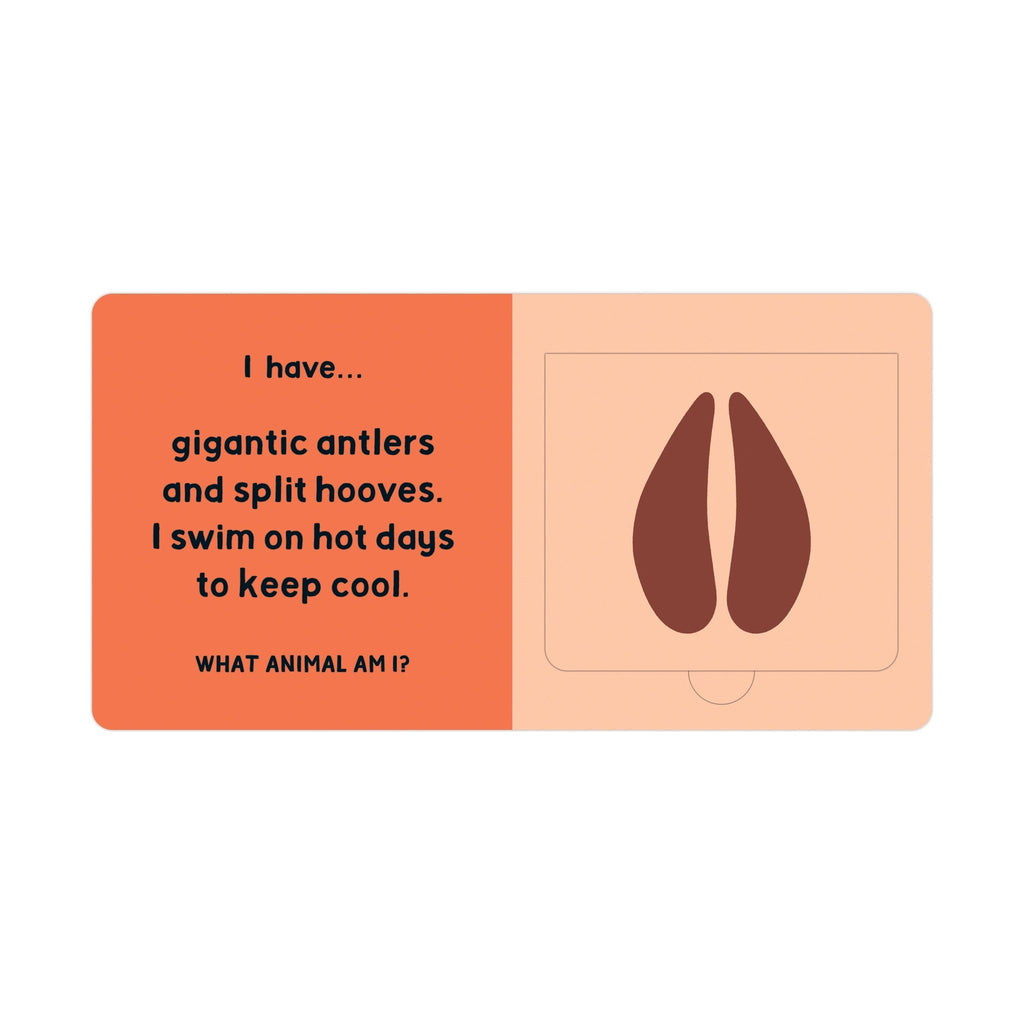 Forest Tracks: What Animal Am I? Lift-the-Flap Board Book