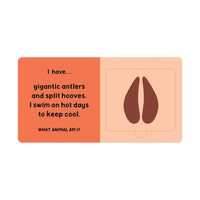 Forest Tracks: What Animal Am I? Lift-the-Flap Board Book