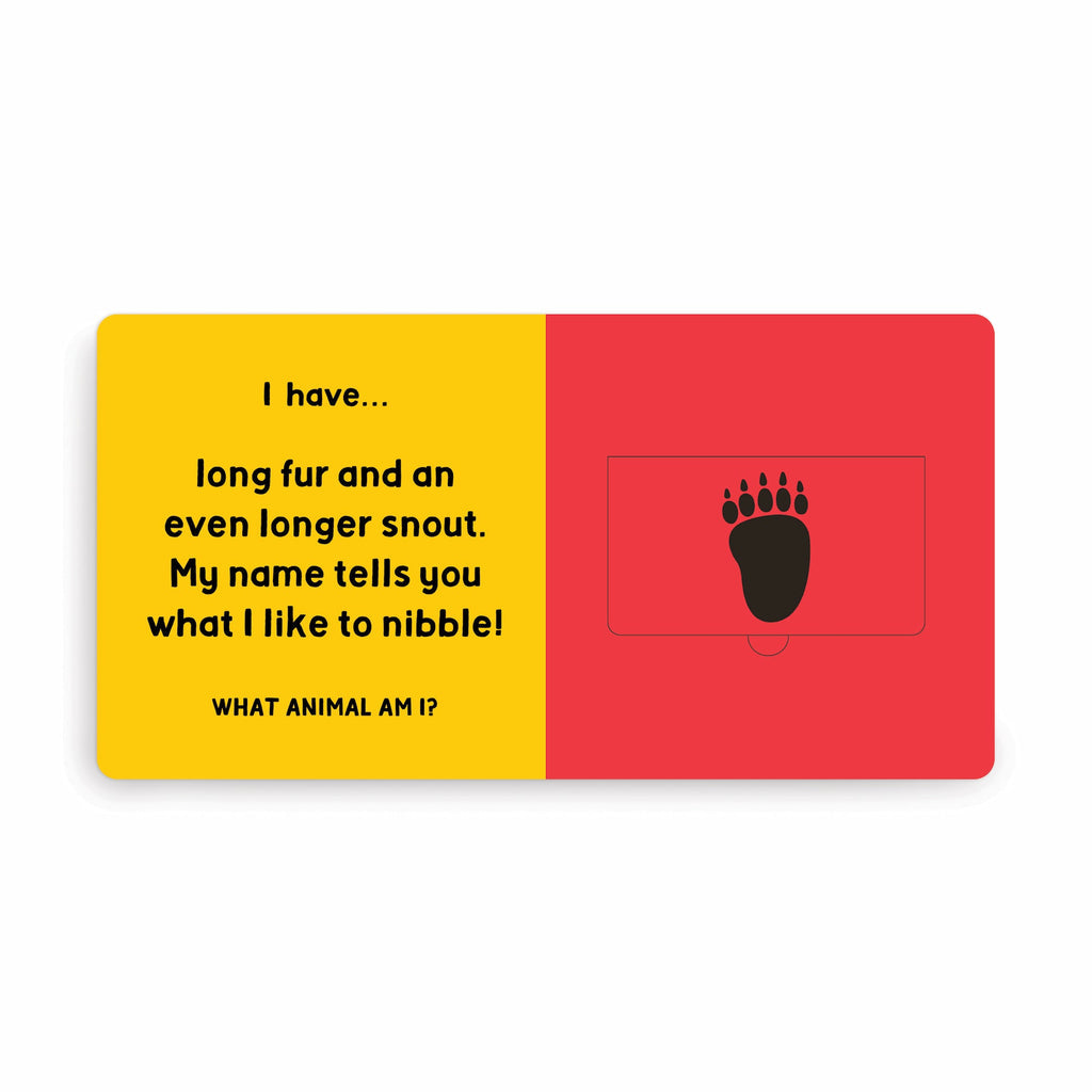 Jungle Tracks Lift-the-Flap Board Book