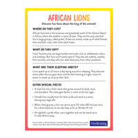 Lion's Safari Search Cooperative Game